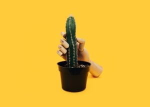 mantener-una-erección-Imagen4