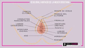 Sexo oral fantasía de la mujer Bogotana Prepagos en bogotá