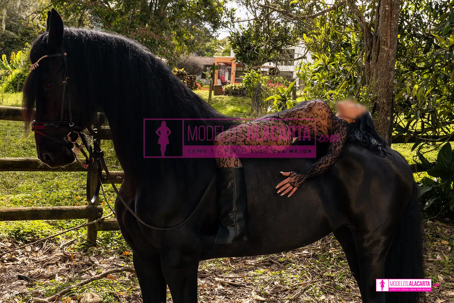 escort Medellín atrevida montando caballo