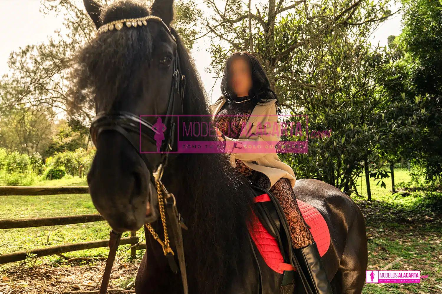 una de las acomáñantes en Medellín, Naty Gold, posando con un caballo de manera poderosa y elegante, destacando su confianza y presencia imponente.
