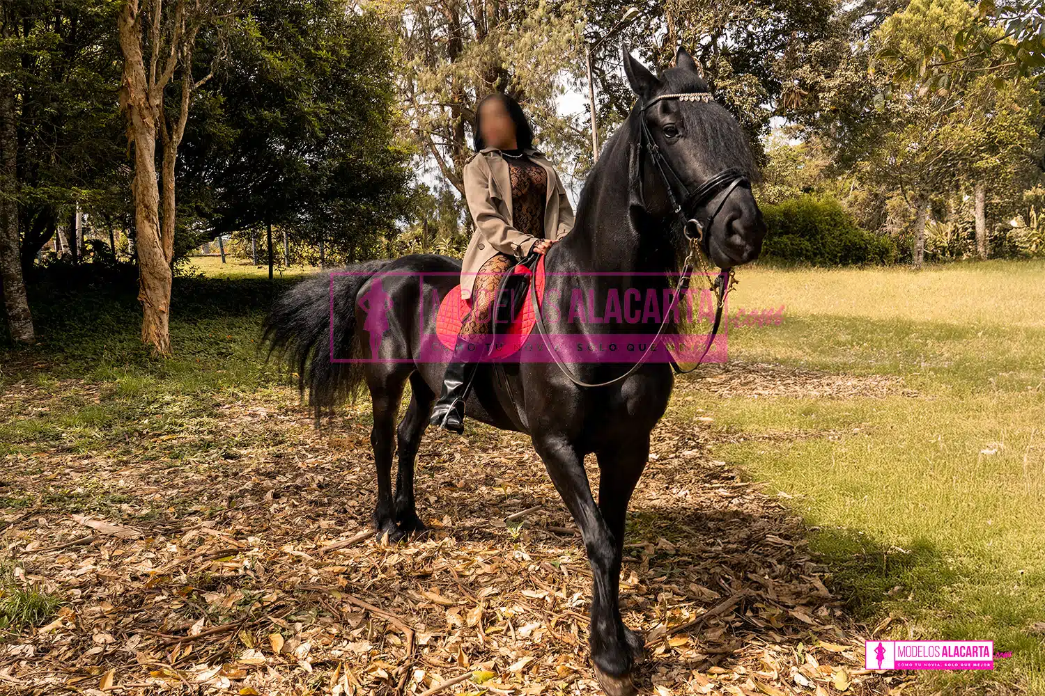 Mujer madura rica en Medellín, Naty Gold, montando un caballo con gracia y estilo, transmitiendo una sensación de poder y elegancia