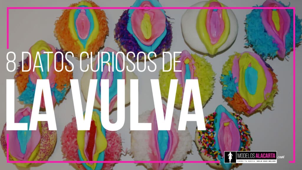 datos curiosos de la vulva