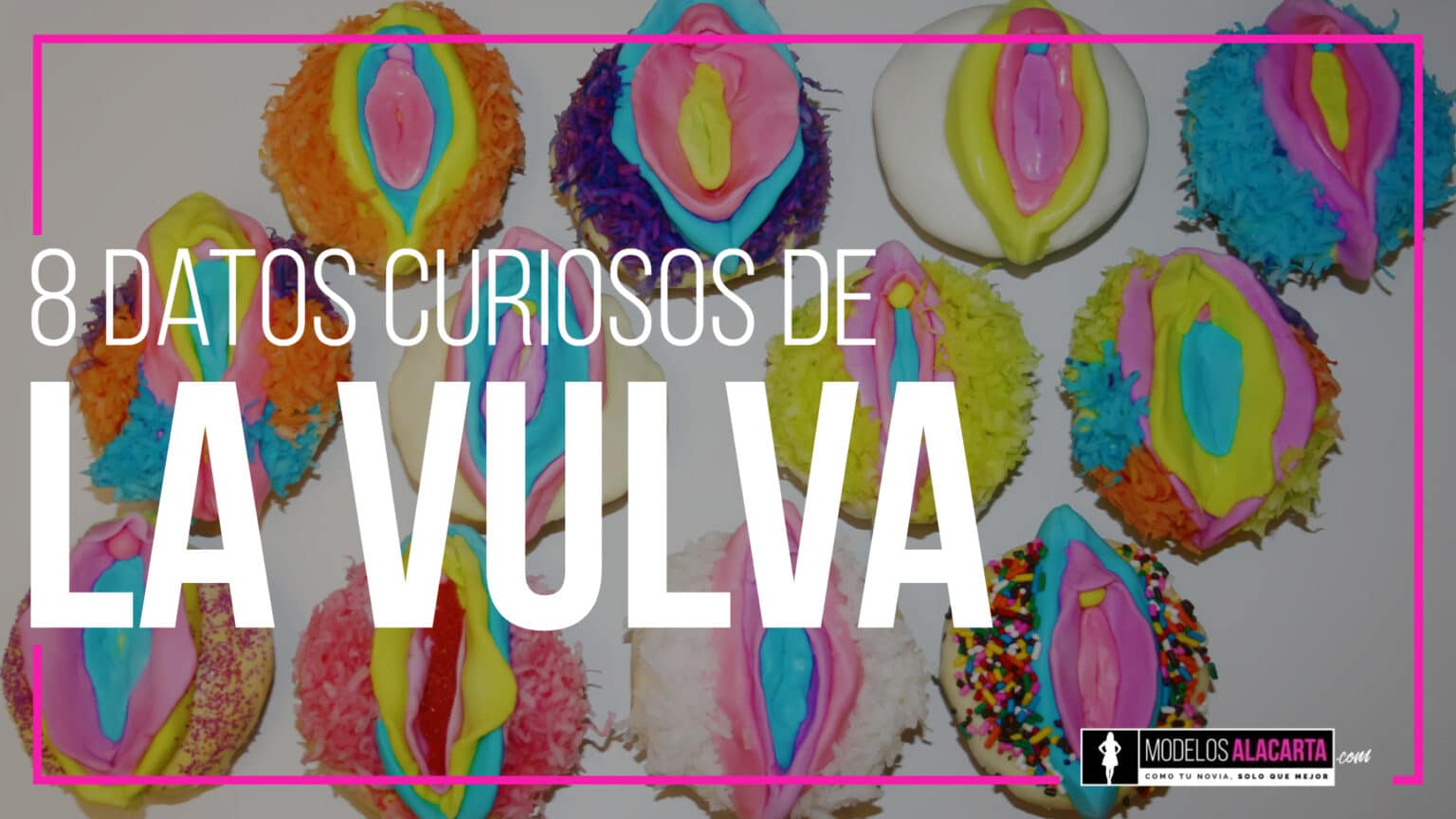 8 Datos Curiosos De La Vulva Que Si O Si Debes Saber