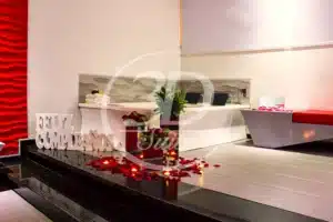 3D Suite 6 3D Suite 4