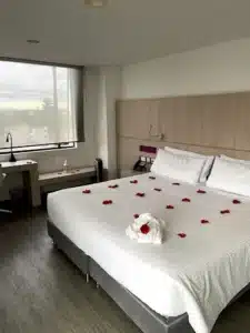 Black Tower Premium 13